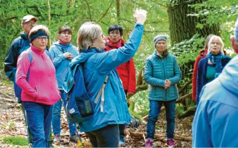  ?? Foto: Elmar Knöchel ?? An einladende­n Flecken mitten in der Natur gaben die Jodel‰Experten immer wieder Unterricht im Jodeln.