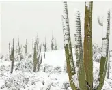  ??  ?? A powerful winter storm brought six inches of snow to the area around Pinnacle Peak in Scottsdale on Feb. 22.