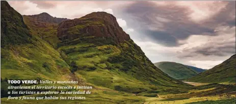  ??  ?? TODO VERDE. Valles y montañas atraviesan el territorio escocés e invitan a los turistas a explorar la variedad de flora y fauna que habita sus regiones.