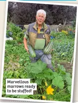  ?? ?? Marvellous marrows ready to be stuffed!