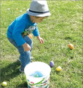  ?? Photo by Susan Holland ?? Despite all the excitement going on around him and the many eggs scattered about, Keenan Tacker, 2, focused on gathering the eggs around his basket. Keenan is the son of Aisha and Budder Tacker of Jay, Okla.