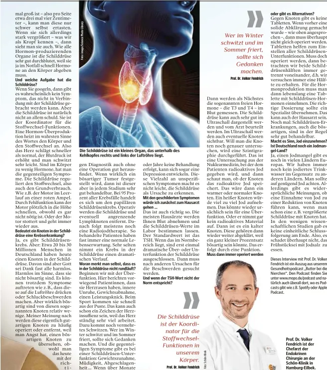  ??  ?? Die Schilddrüs­e ist ein kleines Organ, das unterhalb des Kehlkopfes rechts und links der Luftröhre liegt.
Prof. Dr. Volker Fendrich ist der Chefarzt der Endokrinen Chirurgie an der Schön-Klinik in Hamburg-Eilbek.