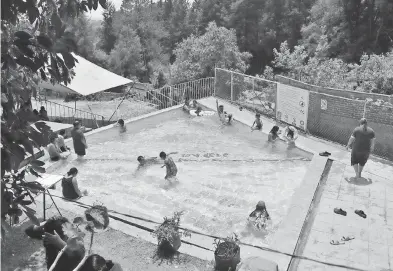  ?? /ARMANDO PEDROZA ?? Palo Huérfano, balneario ideal para un chapuzón con agua de manantial