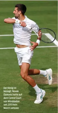  ?? ?? Der König ist besiegt: Novak Djokovic hatte auf dem Centre Court von Wimbledon seit 2013 kein Match verloren