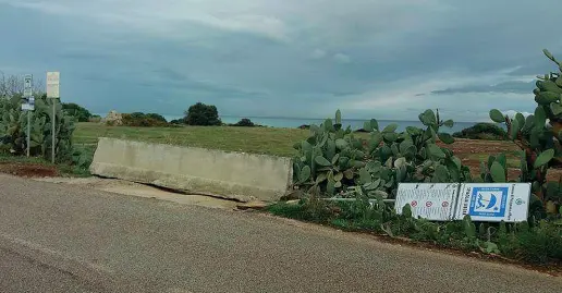  ??  ?? La zona della discordia Ecco il tratto di costa Ripagnola dove la gente accede al mare parcheggia­ndo nei terreni privati