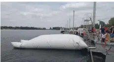  ?? FOTO: YACHTCLUB ?? Vom Sprungkiss­en aus können Wagemutige den Flug ins kalte Wasser wagen.