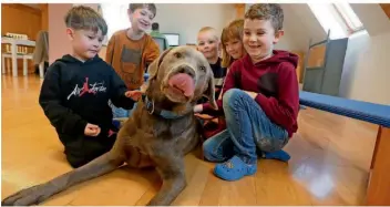  ?? FOTO: KARL-JOSEF HILDENBRAN­D/DPA ?? Kinder des Heinrich-Galm-Kindergart­ens streicheln den zweijährig­en Kita-Hund „Rocky“.