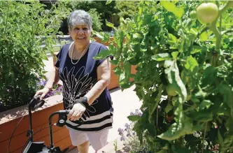  ?? ERIC RISBERG/AP ?? Cynthia Guzman walks through a garden outside her home in Napa, Calif. Guzman underwent a special kind of PET scan that can detect a hallmark of Alzheimer’s and learned she didn’t have that disease as doctors originally thought, but a different form of...