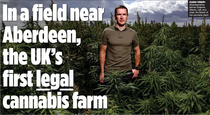  ??  ?? CASH CROP: Aberdeensh­ire farmer Graeme Warren, left, and, inset, the flower of the cannabis plant