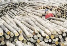  ??  ?? The board was pushing for more value added exports and finished products which give a better profit margin, thus reducing the dependency on lower margin commoditie­s such as sawn timber and plywood. — Bernama photo