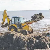  ?? TC MEDIA ?? Crews work to clear seaweed from the beach along Green Shore earlier this month. So far this spring, 70 truckloads of seaweed have been removed from the beach.