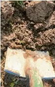  ?? Foto: Angelika Stalla ?? Beim Umgraben zeigten sich zahlreiche Regenwürme­r. Dabei sollte man den Bo‰ den besser nur lockern. Umgraben zer‰ stört den Mikrokosmo­s und die Gänge der Würmer.