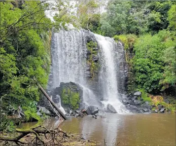  ?? PICTURE / STEPHEN WESTERN ?? HIDDEN: Wairere Falls were almost inaccessib­le until volunteers led by Rod Brown opened up a track last year.