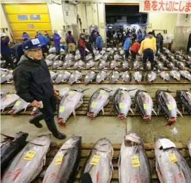  ??  ?? TSUKIJI MARKET Yes, this crazy wet market tops every tourist list, but that’s for a reason: it’s a unique experience and shouldn’t be missed. Forget the pre-dawn tuna auction and arrive around 8am – you’ll still be surrounded by a mind-boggling array...