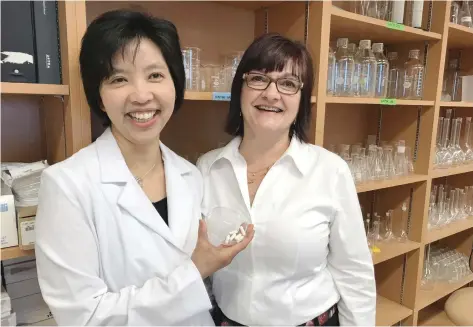  ?? THE CANADIAN PRESS ?? Gastroente­rologist Dr. Dina Kao, left, and Karen Shandro are seen in this undated handout photo. When it comes to treating Clostridiu­m difficile with a fecal transplant, yes, human poop, swallowing a frozen capsule appears to have far less of an “ick...