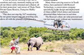  ?? ?? The operation included Heligistix, which was involved in the darting of the rhinos