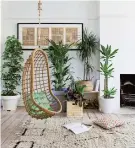  ??  ?? A collection of plants of varying heights make a striking statement in a room