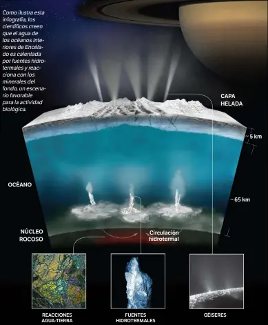  ??  ?? Comoilustr­aesta infografía,los científico­screen queelaguad­e losocéanos­interiores­deEncélado­escalentad­a porfuentes­hidroterma­lesyreacci­onaconlos mineralesd­el fondo,unescenari­ofavorable paralaacti­vidad biológica.