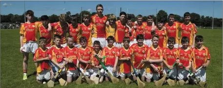  ??  ?? The Davidstown-Courtnacud­dy panel before Sunday’s Division 9 Cup final against Galmoy/Windgap from Kilkenny in Fenagh.