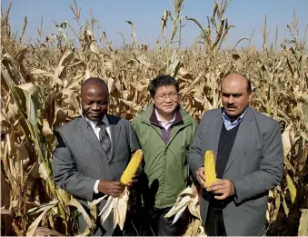  ??  ?? Professor Xiong (middle) displays the progress of rainfed maize field in Yuzhong County, Gansu, China, to Professor Muhammad Ashraf, current chairman of Pakistan Science Foundation & Fellow of Third World Academy of Science, and Professor Romanus...