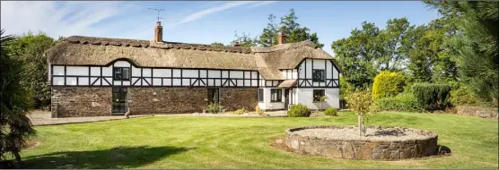  ??  ?? Tudor Lodge at Ballinastr­aw, Glenbrien.