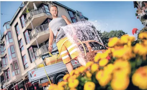  ?? RP-FOTO: RALPH MATZERATH ?? Michael Schneider vom städtische­n Betriebsho­f gießt die Blumen um die Traditions­paar-Skulptur vor dem Eingang der Stadtgaler­ie.