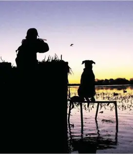  ?? Shannon Tompkins / Houston Chronicle ?? Excellent wetland habitat conditions across Texas, thanks to timely (if sometimes overabunda­nt) rains, bode well for waterfowle­rs. Prospects appear outstandin­g for Saturday’s opening of duck season in the state’s South Zone.