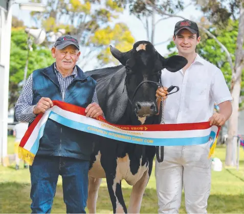  ?? Picture: DALE WEBSTER ?? Neville Wilkie and Kieran Coburn with the Champion interbreed cow Crookslea-end Windbrook Topsy.