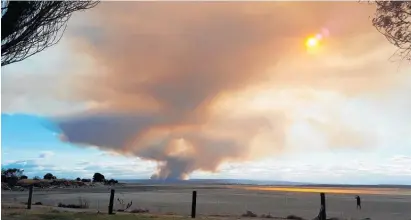  ?? Photos / Mireille Verhoef / Kurt Bayer ?? Smoke rises from Pigeon Valley while (below) firefighte­rs battle a blaze in Redwood Valley near Nelson. The fire has spread across 20km.