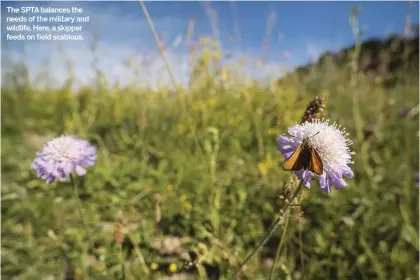  ??  ?? The SPTA balances the needs of the military and wildlife. Here, a skipper feeds on field scabious.