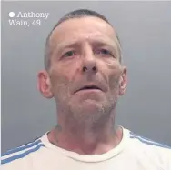  ??  ?? Anthony Wain, 49