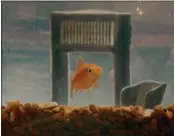  ?? VINCENT TULLO — THE NEW YORK TIMES ?? A small goldfish swims inside a fish tank. The goldfish can grow to monstrous proportion­s if released into the wild.