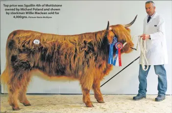  ?? Picture: Kevin McGlynn ?? Top price was Sguillin 4th of Mottistone owned by Michael Poland and shown by stockman Willie Maclean sold for 4,000gns.