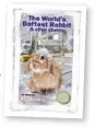  ??  ?? Out now! Our first ever FunTales Collection!The World’sDaftest Rabbit&Other Stories is available exclusivel­y from WWW.DCTHOMSONS­HOP. CO.UK for just £7.99.