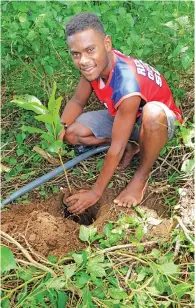  ?? Photo: Laisa Lui ?? Field Assistant, Aminio Baleidroka­droka planting a Tavola tree during the Internatio­nal Day of Forest celebratio­n in Naividamu.