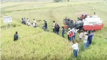  ?? ?? This techno demo farm in Tobias Fornier, Antique aims to demonstrat­e the advantages of planting high-quality inbred seeds composed of national, regional, and newly released varieties using modern farm machinery to lower the cost of producing rice.