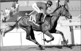  ?? Picture: Candiese Marnewick ?? Warren Kennedy rides THE DAZZLER in the fourth at the Vaal tomorrow.