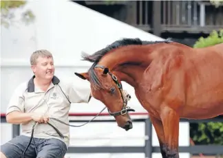  ?? Photo: Trish Dunell ?? Spur of the mopment: Ken Beckon with lot 90, a Pegasus Spur filly out of former top juvenile trotter Fear Factor.