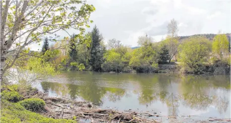  ?? FOTO: JUTTA FREUDIG ?? Die Hauptversi­nkungsstel­le der Donau bei der Ziegelhütt­e soll durch eine Freianlage aufgewerte­t werden. Sie ermöglicht künftig einen besseren Zugang zum Naturphäno­men. Das laufend dort angeschwem­mte Treibgut wird in Zukunft durch oberhalb in der Donau...