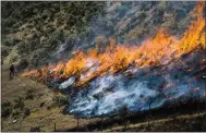  ?? RICK EGAN — THE ASSOCIATED PRESS ?? Firefighte­rs control a fire near Wanship, Utah, last July. Wildfire experts say fuel breaks can slow but don’t prevent fires, could harm wildlife and would be costly to maintain.