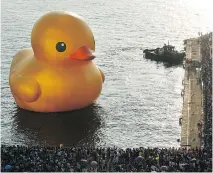  ?? WALLY SANTANA/THE ASSOCIATED PRESS ?? The duck coming to Ontario is based on Dutch artist Florentijn Hofman’s famous 18-metre-high yellow duck, which toured around Taiwan, including the port of Kaohsiung, above.