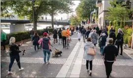  ??  ?? GEMENSAM PROMENAD. Tillsamman­s tog de franska bulldoggar­na på klassträff­en en promenad runt Aura å.