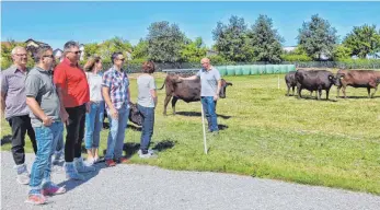  ?? FOTO: AFI ?? Wagyu-Züchter Thomas Spang (rechts) hat beim Hoffest in Stödtlen viele Besucher über den Betrieb geführt und ihnen alles erklärt. Unser Bild zeigt ihn vor der Mutterkuhh­erde auf der Wiese.