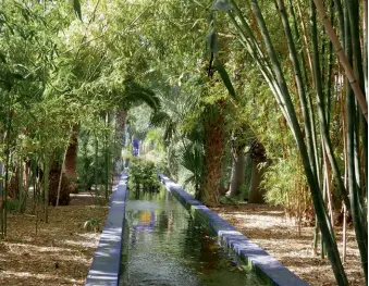  ??  ?? CLOCKWISE FROM ABOVE Bamboo lines both sides of an irrigation canal that runs between a pavilion and the building that was Majorelle’s studio; an arbor festooned with bougainvil­lea; boldly painted pots are a signature style in Majorelle Garden.