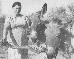  ??  ?? 1970 Die weduwee mev. Sannie van Staden van Berg-en-Dale, noordwes van Ellisras, en haar twee getroue langore.