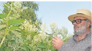  ?? FOTO: JOACHIM BURGHARDT ?? Torsten Matschiess: So sah es in seinem Garten aus.