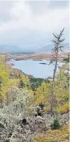  ?? ?? Looking down to Spey Dam, near Laggan.