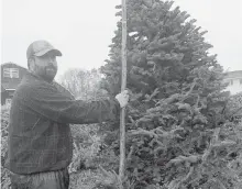  ?? CHRIS CONNORS/CAPE BRETON POST ?? David Mombourque­tte, owner of Green Hills Farm in Albert Bridge, measures a Christmas tree Wednesday. Mombourque­tte, who has been operating for the past 15 years, said COVID-19 pandemic has led to a noticeable increase in sales this year.