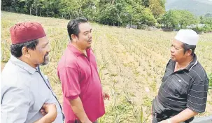  ?? — Gambar Bernama ?? SATU PERNIAGAAN: Mohd Radzi (kiri), Wan Hassan (kanan) dan Abdul Manaf meninjau kawasan penanaman nanas di Teluk Bahang, George Town.