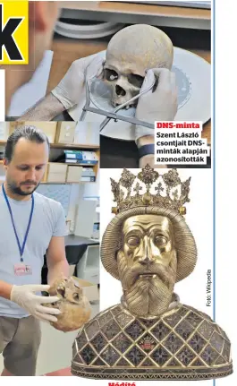  ?? ?? DNS-minta Szent László csontjait DNSminták alapján azonosítot­ták
Hódító
Szent László idején terjeszked­ett a Magyar Királyság